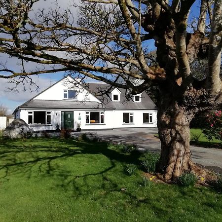 Mountain View Guesthouse Oughterard Ngoại thất bức ảnh