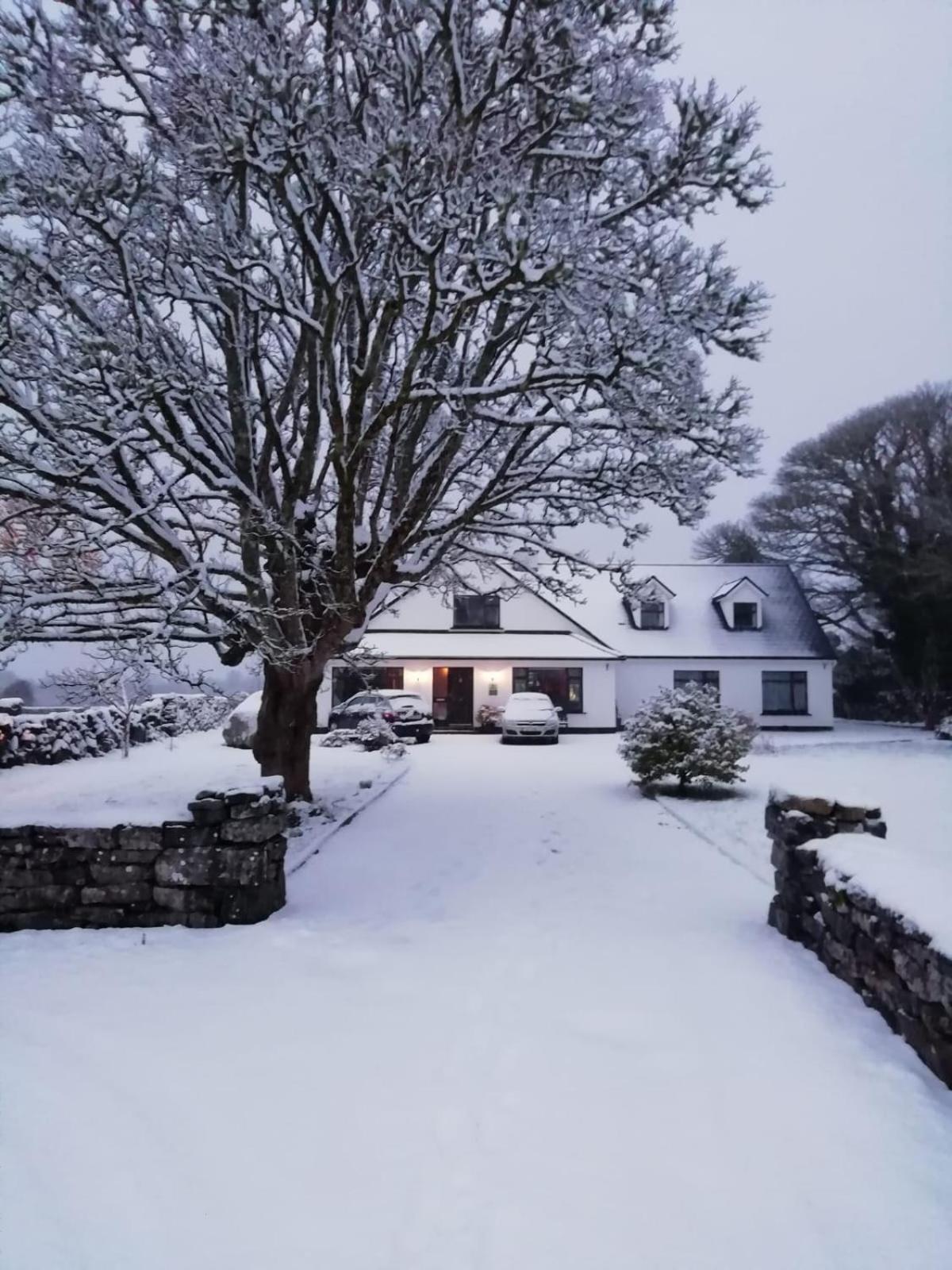 Mountain View Guesthouse Oughterard Ngoại thất bức ảnh