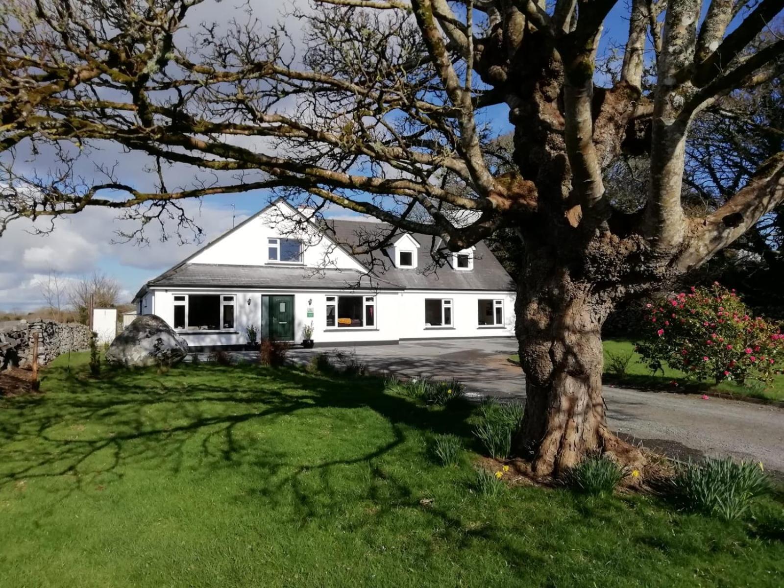 Mountain View Guesthouse Oughterard Ngoại thất bức ảnh
